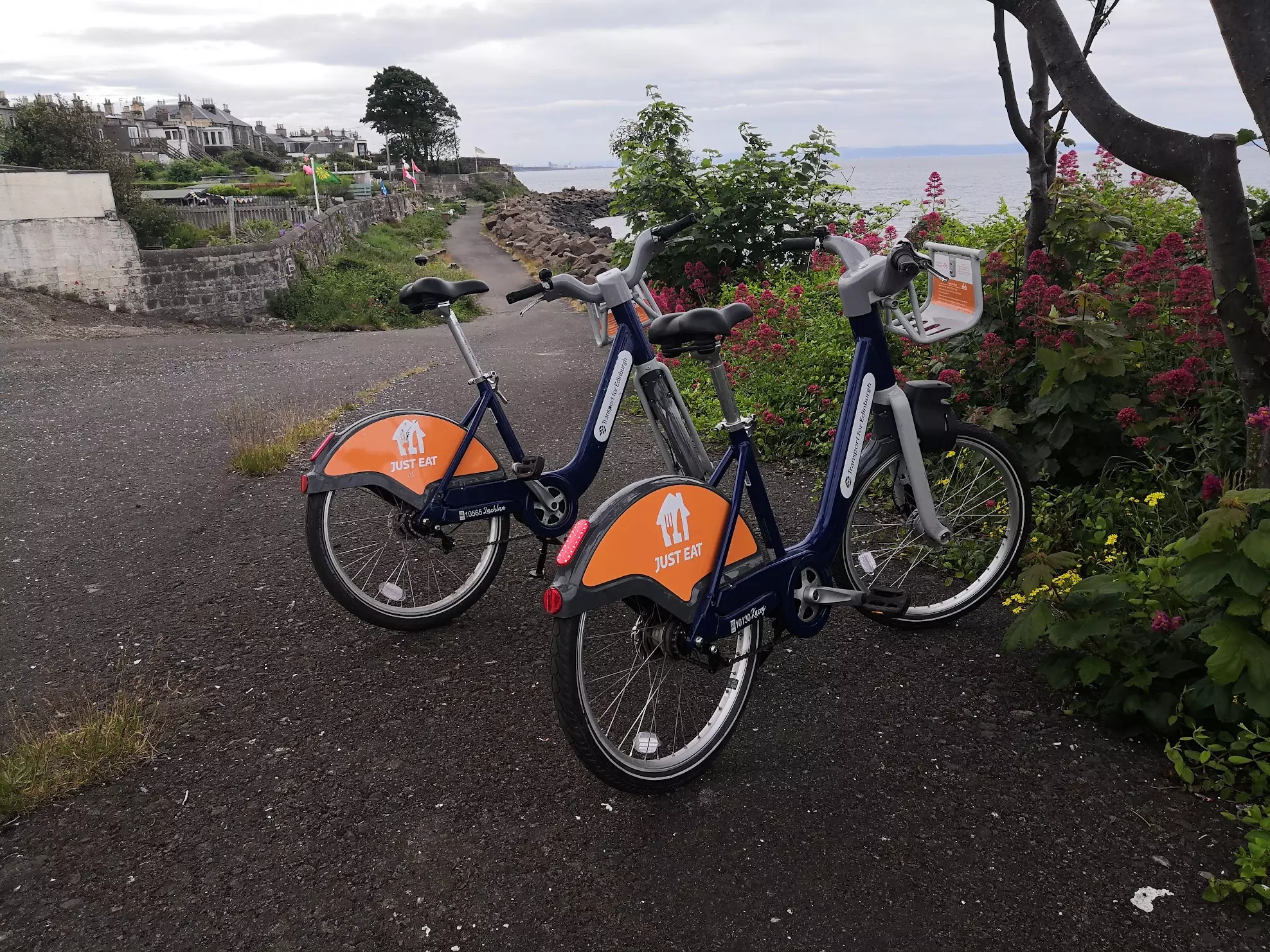 The two Just Eat bikes sit on the coast